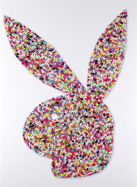 Bad Bunny by Emma Gibbons - Watergate Contemporary