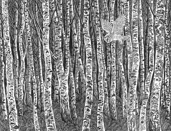 Birch Wood - Sue Scullard - Watergate Contemporary