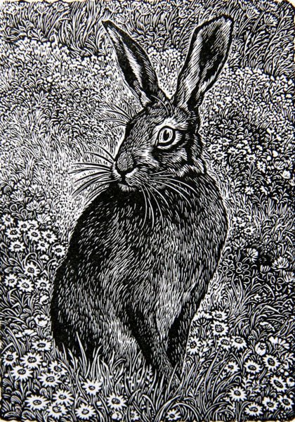 Hare in a Meadow - Sue Scullard - Watergate Contemporary