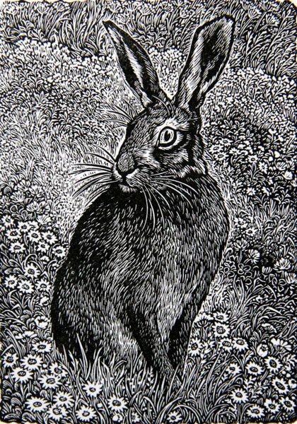 Hare in a Meadow - Watergate Contemporary