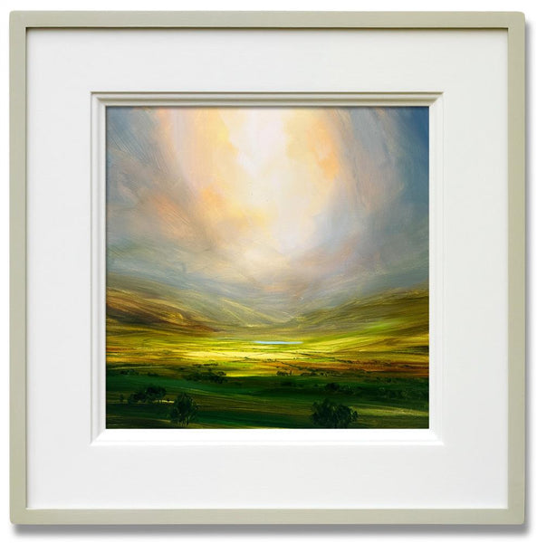 Radiant Rays - Harry Brioche - Watergate Contemporary