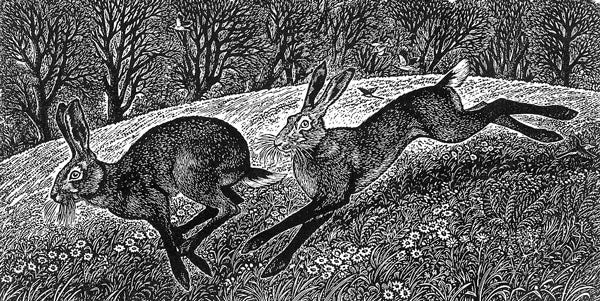 Running Hares - Sue Scullard - Watergate Contemporary