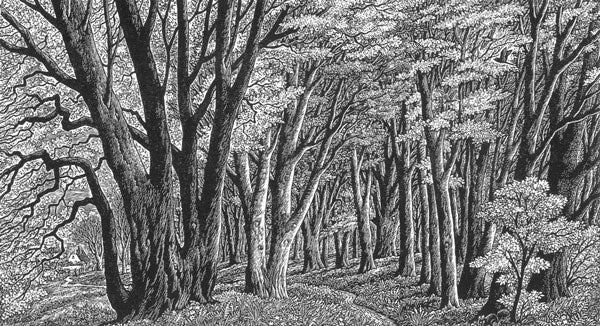 Through the Woods by Sue Scullard - Sue Scullard - Watergate Contemporary