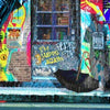Graffiti in the Rain by Dirty Hans