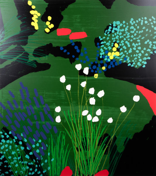 Lindheimer's Beeblossom by Bruce McLean