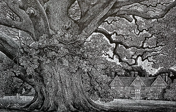 Sussex Oak by Sue Scullard