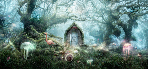 The Open Door - Alice in Wonderland by Mark Davies